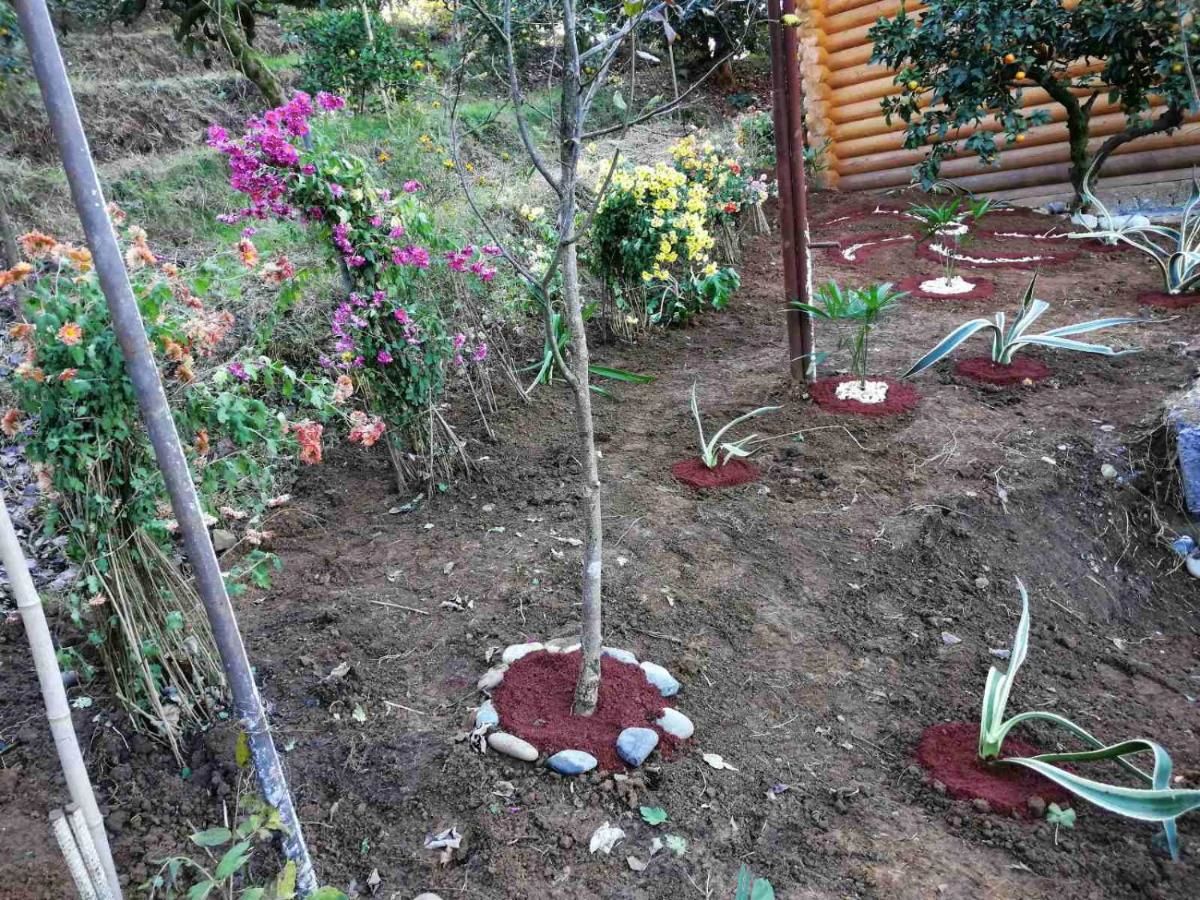 Виллы Cottage house Niniela Батуми-40