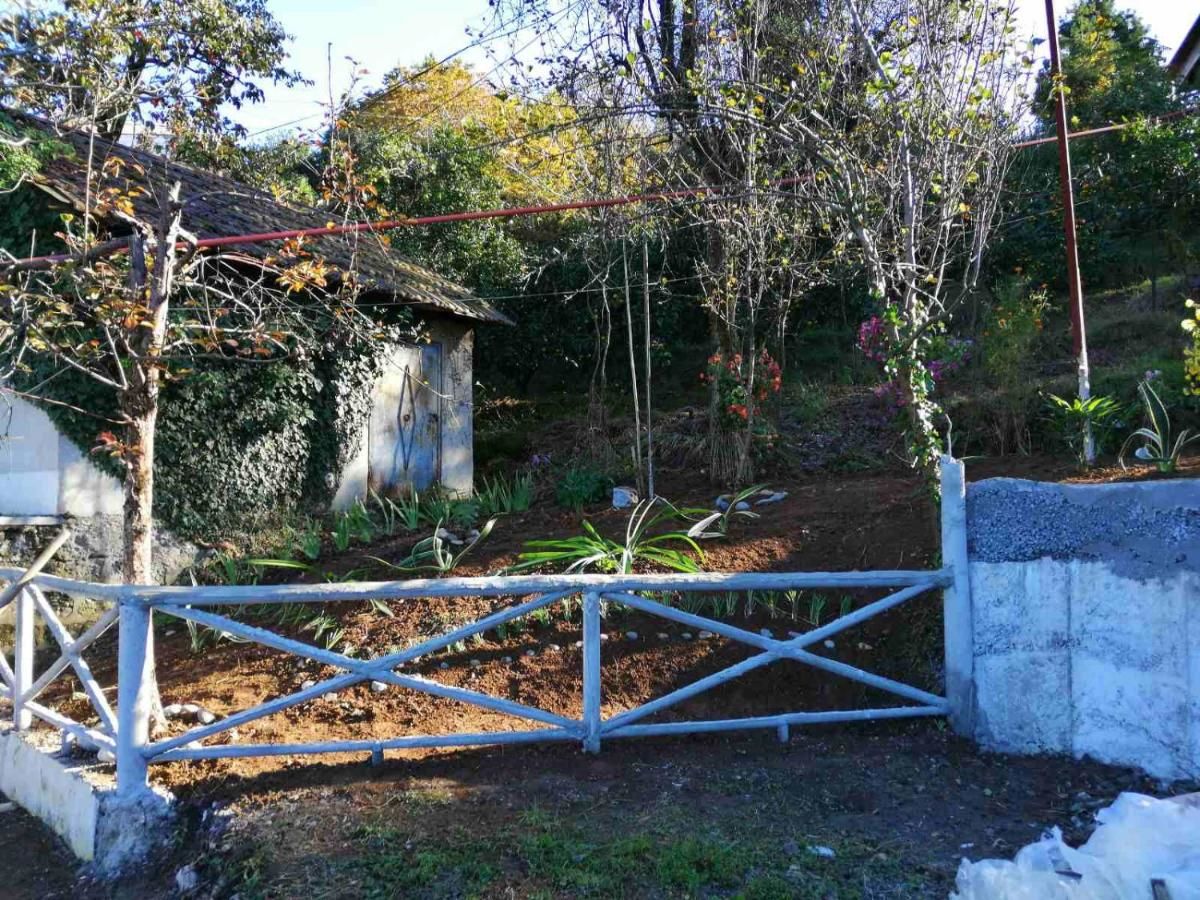 Виллы Cottage house Niniela Батуми-10
