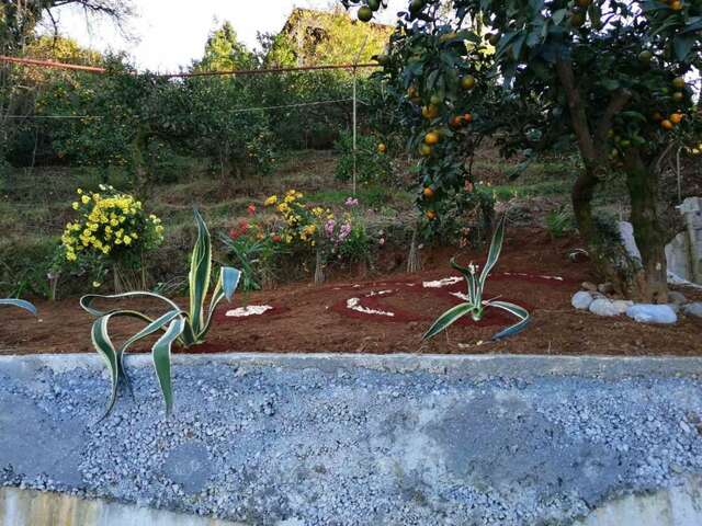 Виллы Cottage house Niniela Батуми-20