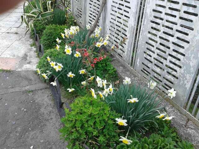 Виллы Cottage house Niniela Батуми-35